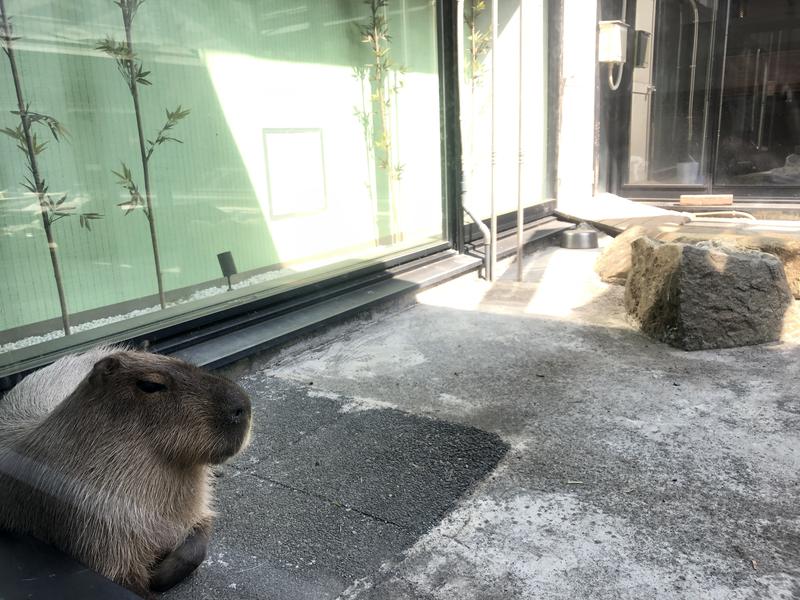 サライさんの石狩天然温泉 番屋の湯のサ活写真