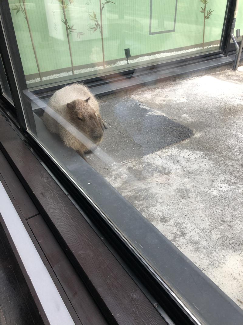 アベ タクさんの石狩天然温泉 番屋の湯のサ活写真