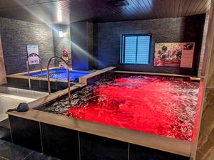 ホテルリブマックス京都二条城西 写真