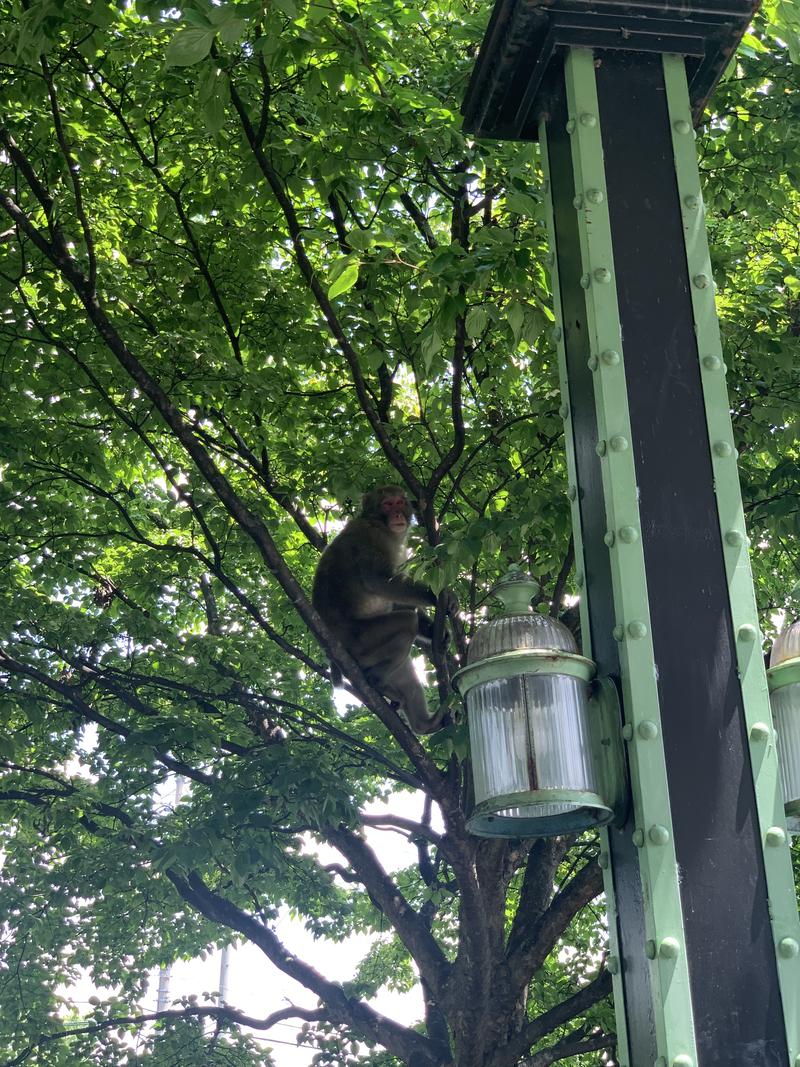 盆地住まいさんの黒部観光ホテルのサ活写真