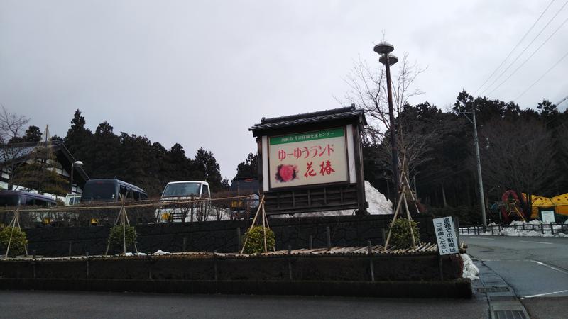 りっちゃんさんのゆ～ゆうランド・花椿のサ活写真