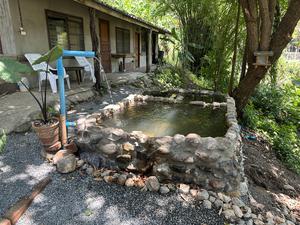 Harmony Retreat Chiang Mai 写真