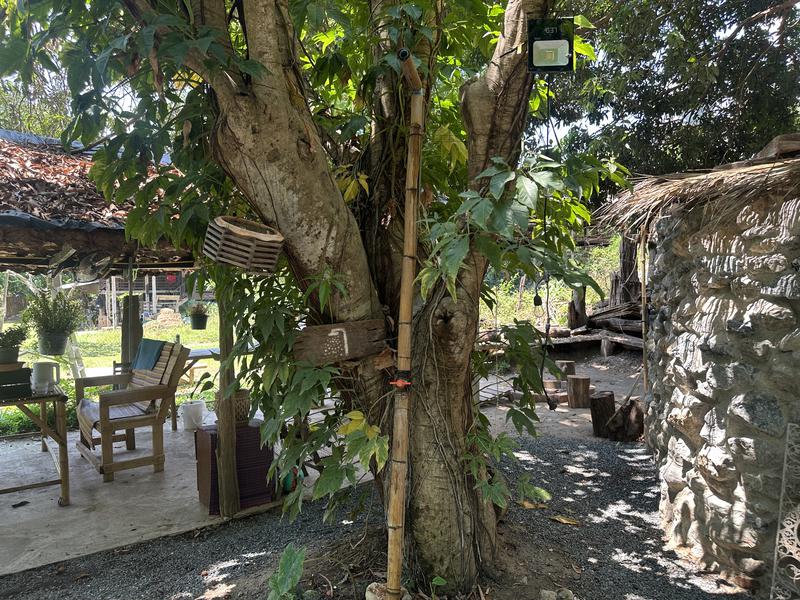 Harmony Retreat Chiang Mai シャワー