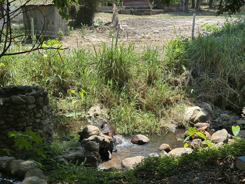 Harmony Retreat Chiang Mai 小川