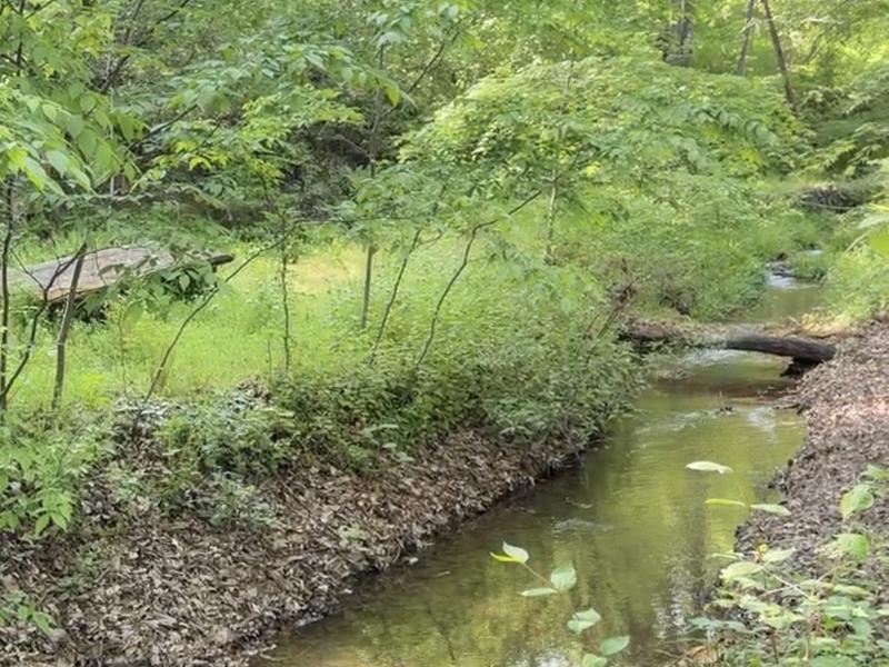 サウナ 整いの森 目の前の小川