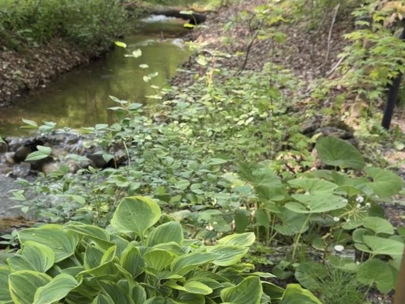 サウナ 整いの森 小川