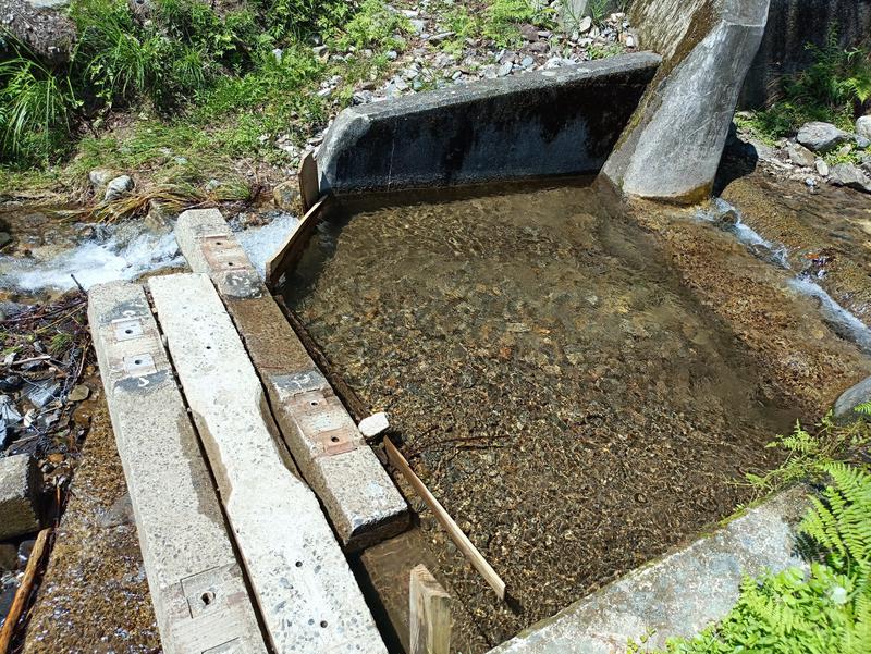テレクちゃんさんのNNF-Nukata Nature Fieldのサ活写真