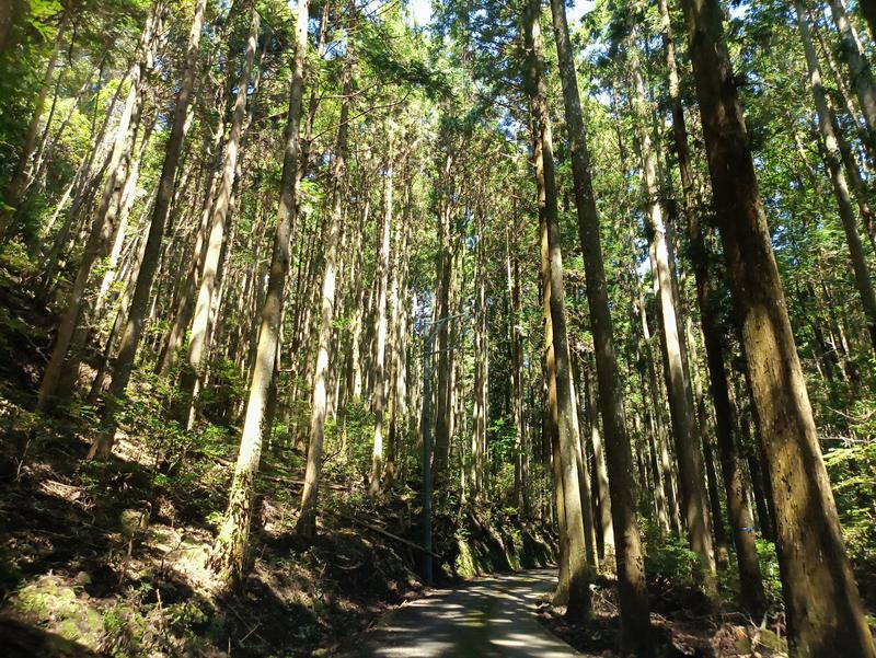テレクちゃんさんのNNF-Nukata Nature Fieldのサ活写真
