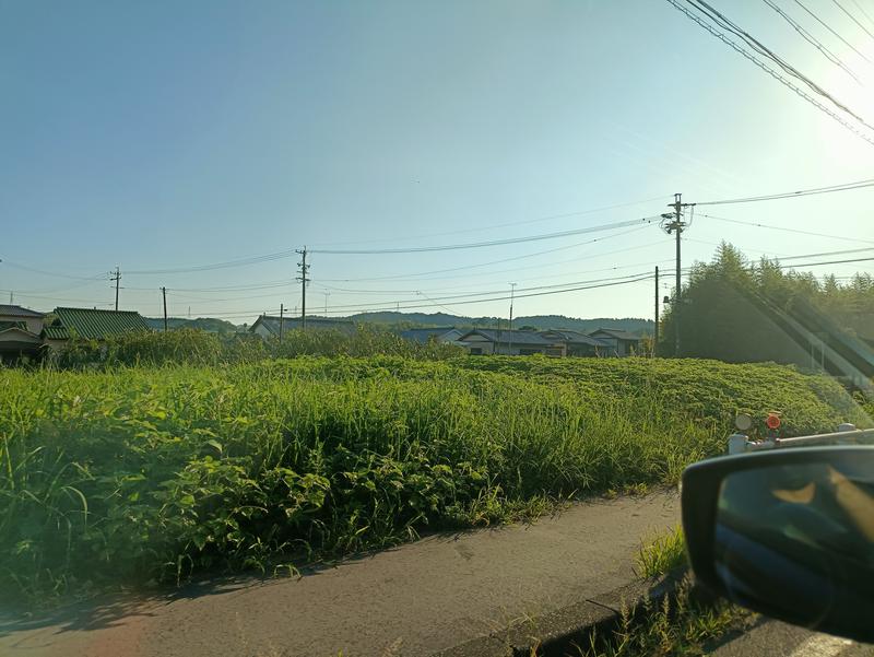 テレクちゃんさんのNNF-Nukata Nature Fieldのサ活写真
