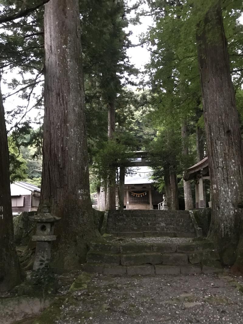 アフラックさんのNNF-Nukata Nature Fieldのサ活写真