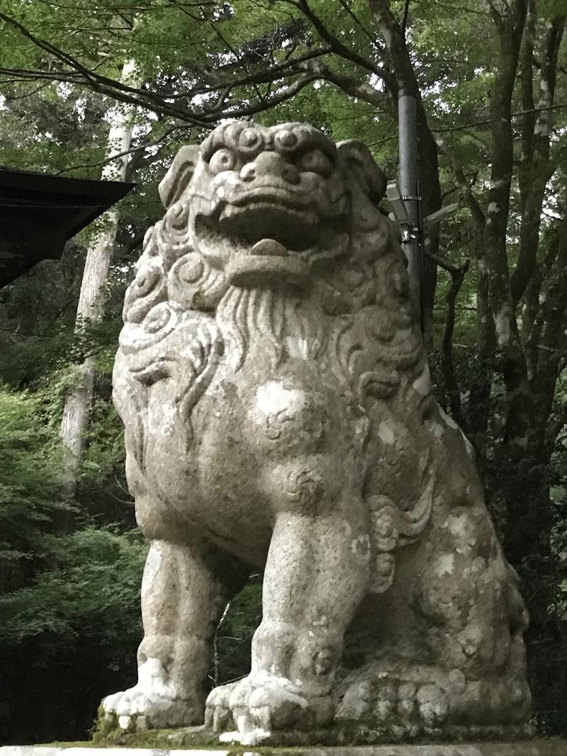 アフラックさんのNNF-Nukata Nature Fieldのサ活写真
