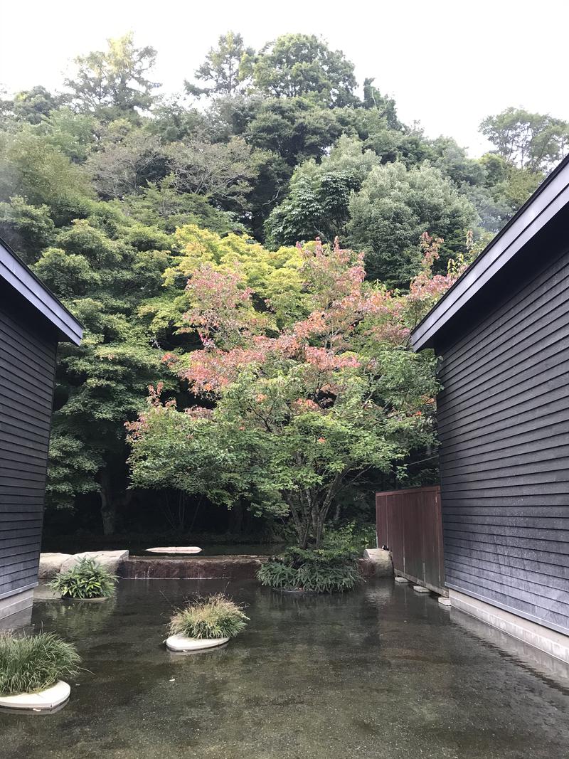 おヌシちゃん1級さんの星野温泉 トンボの湯のサ活写真