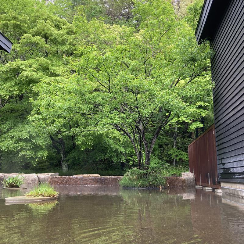 吉田B作さんの星野温泉 トンボの湯のサ活写真