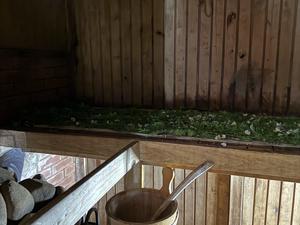 Latvian sauna ritual 写真