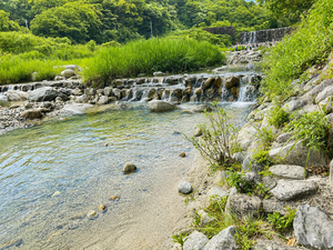 川サウナFIELD北杜 テントサウナ 写真