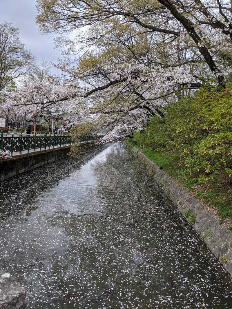 SHANGRIさんの榛名の湯 ドーミーイン高崎のサ活写真