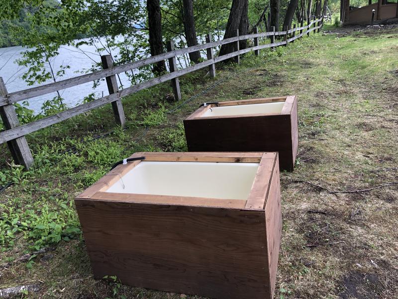 ととのい村長さんの湯宿くったり温泉レイクイン(北海道アヴァント)のサ活写真