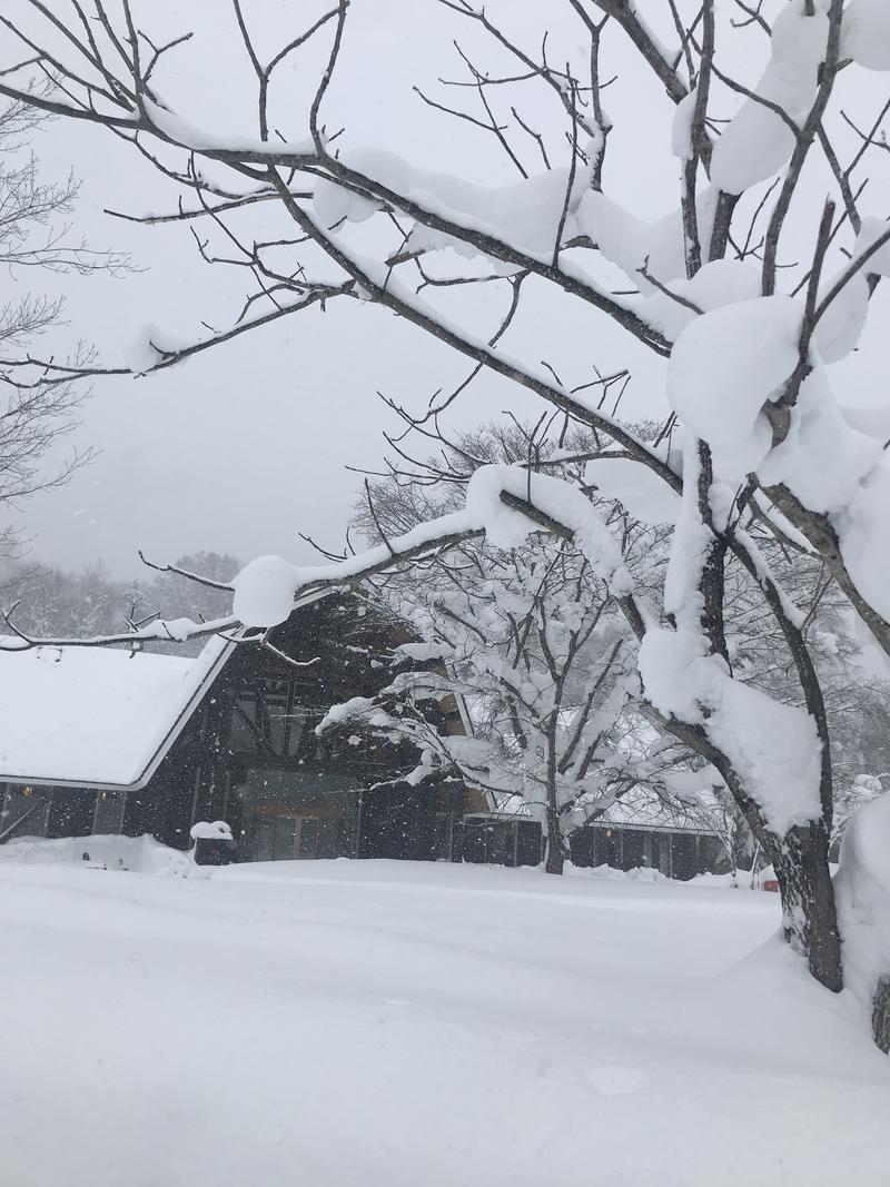 硬雪ダイブで鼻血おぢさんさんのログホテル  ザ  メープルロッジのサ活写真