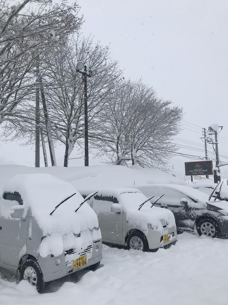 硬雪ダイブで鼻血おぢさんさんのログホテル  ザ  メープルロッジのサ活写真