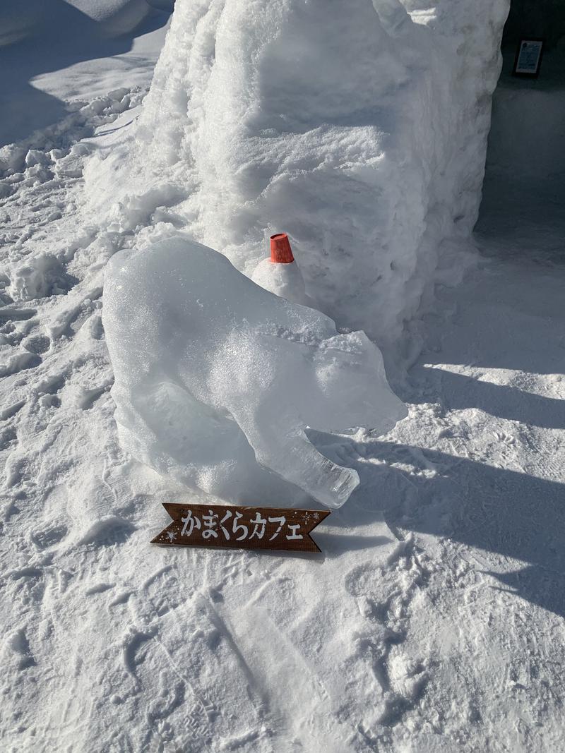 akさんのログホテル  ザ  メープルロッジのサ活写真