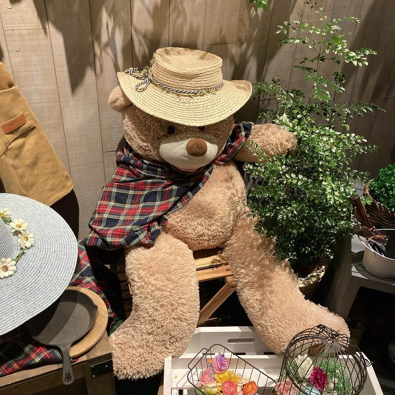 まさぼん２号さんのおふろcafé ハレニワの湯のサ活写真