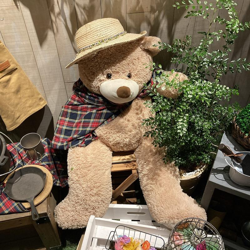 まさぼん２号さんのおふろcafé ハレニワの湯のサ活写真