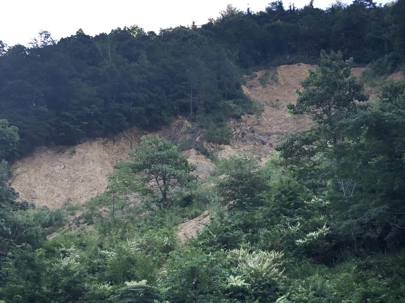 サウナースさんの飛騨高山 自家源泉の湯 臥龍の郷のサ活写真