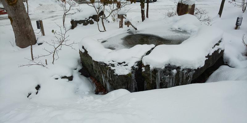 彼の者@サウナースマンさんの飛騨高山 自家源泉の湯 臥龍の郷のサ活写真