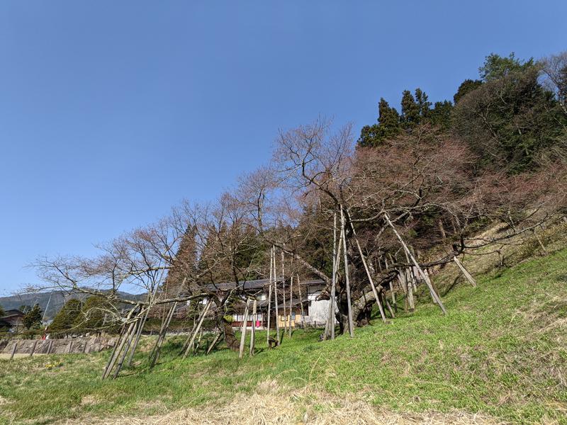 粗塩さんの飛騨高山 自家源泉の湯 臥龍の郷のサ活写真