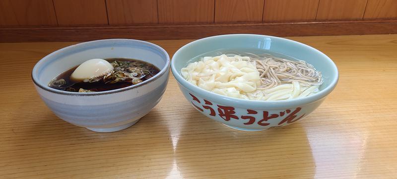 You助さんさんの飛騨高山 自家源泉の湯 臥龍の郷のサ活写真