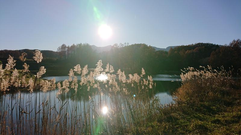 忍者マッキーさんの八峰の湯(ヤッホーの湯)のサ活写真