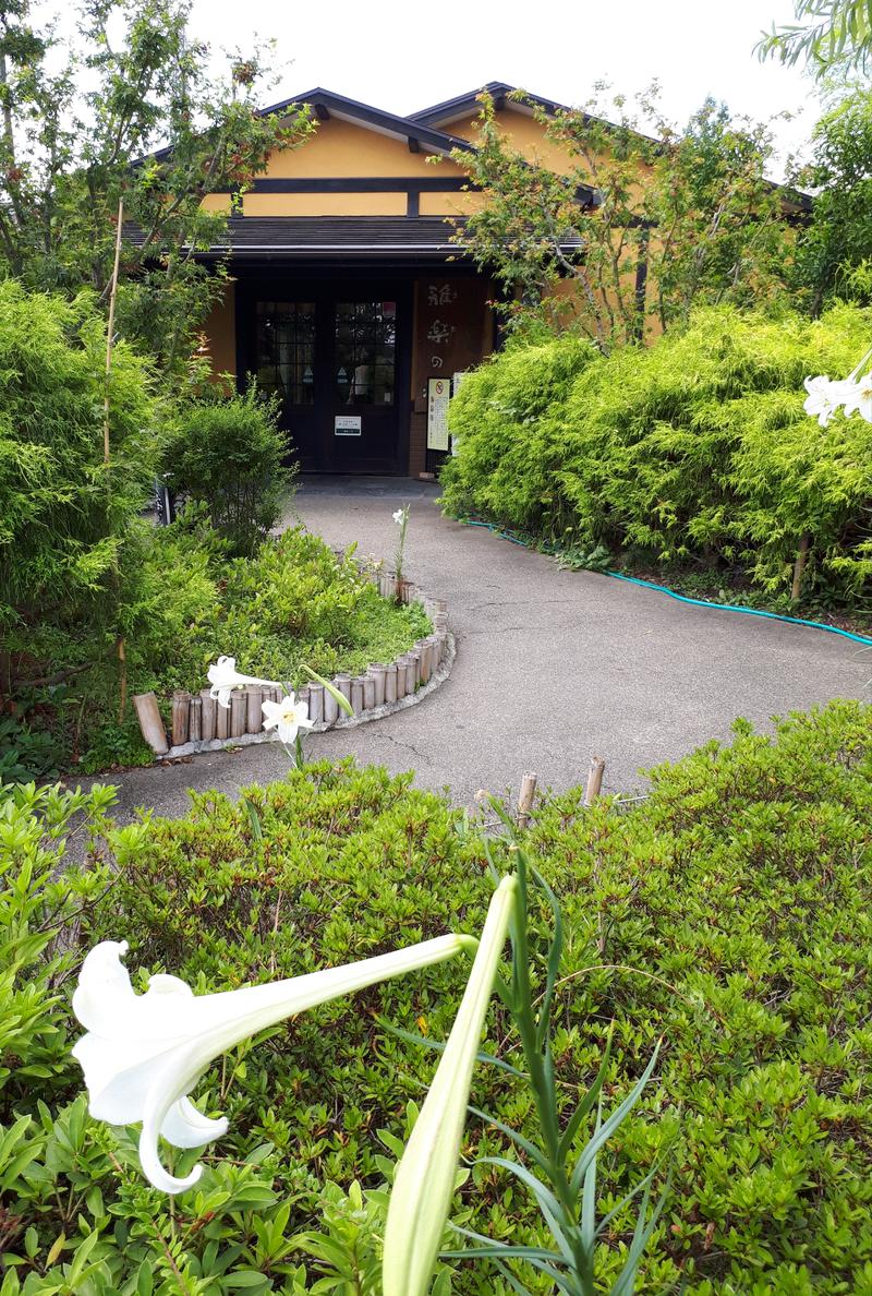 ミケマロさんの杉戸天然温泉 雅楽の湯のサ活写真