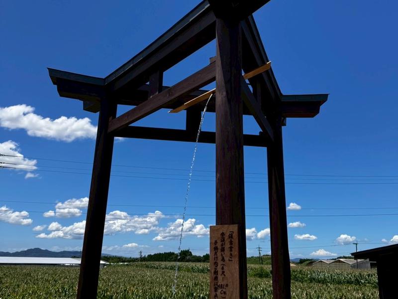 トトノウバイ サトリサウナ水風呂