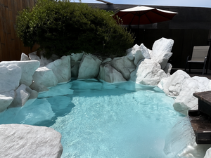 トトノウバイ 写真