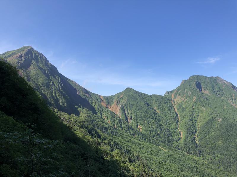 たごさくさんのもみの湯(八ヶ岳温泉 樅の木荘)のサ活写真