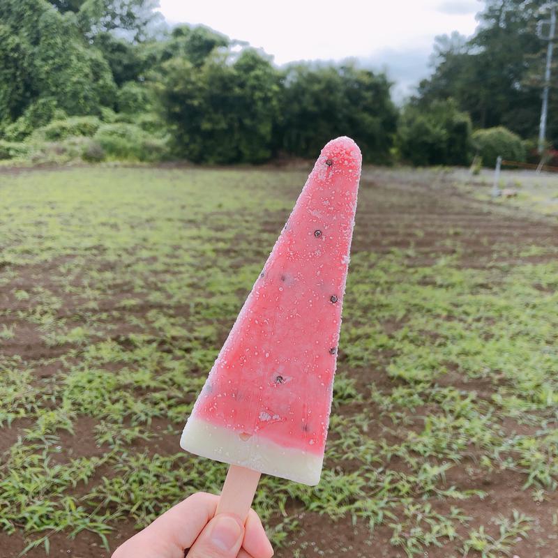 ちえさんの花咲の湯(HANASAKI SPA)のサ活写真