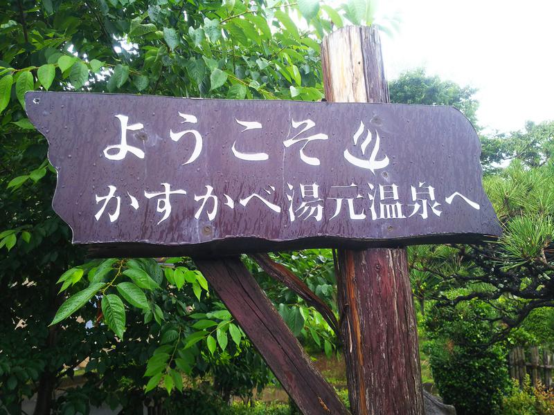 春日部のわだりんさんのかすかべ湯元温泉のサ活写真