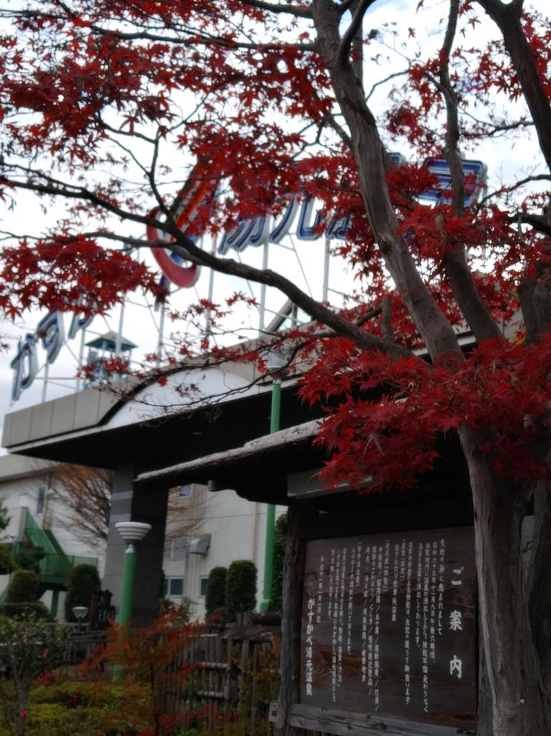 ミケマロさんのかすかべ湯元温泉のサ活写真