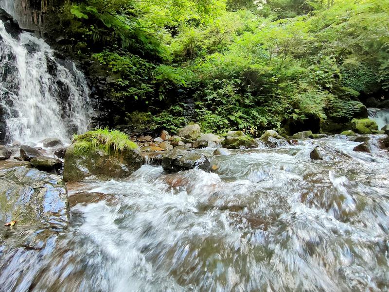 takamorryさんのかわだ温泉 ラポーゼ かわだのサ活写真