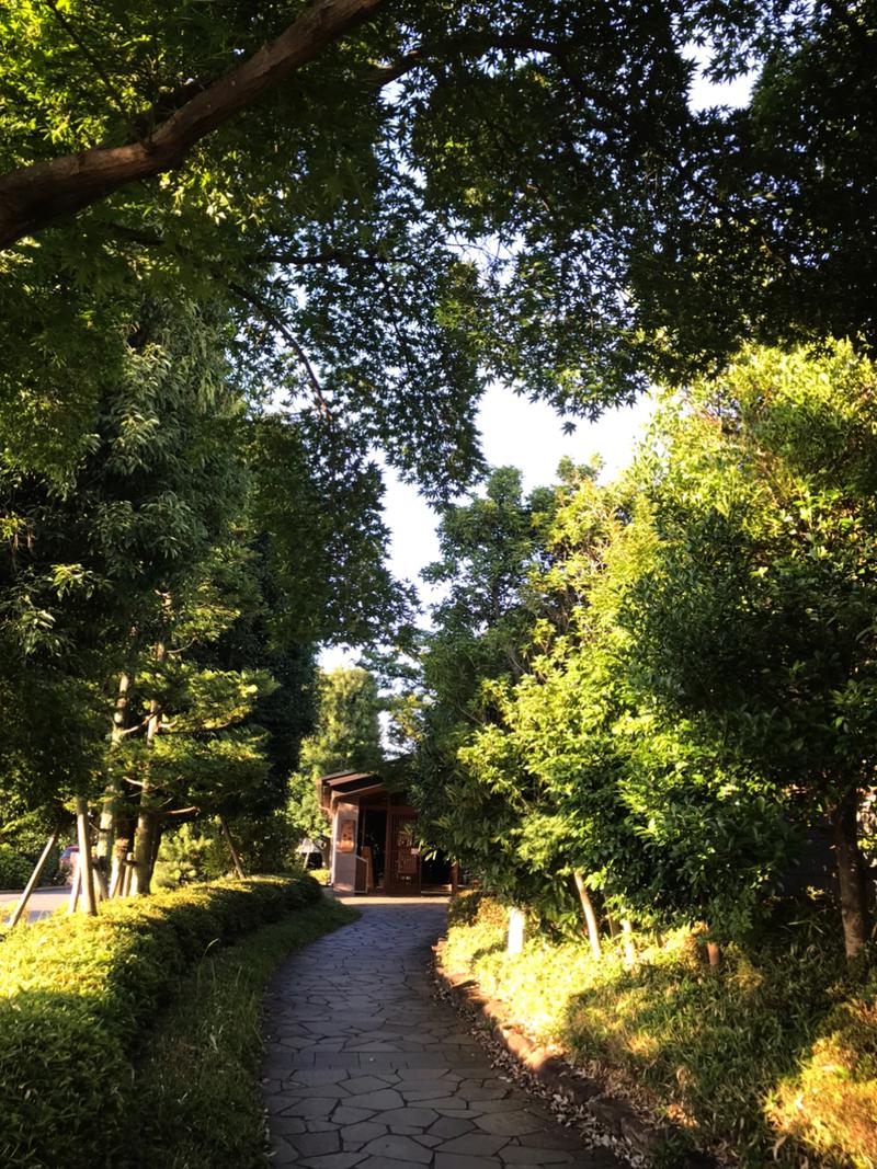 あいさんの野天風呂 湯の郷のサ活写真