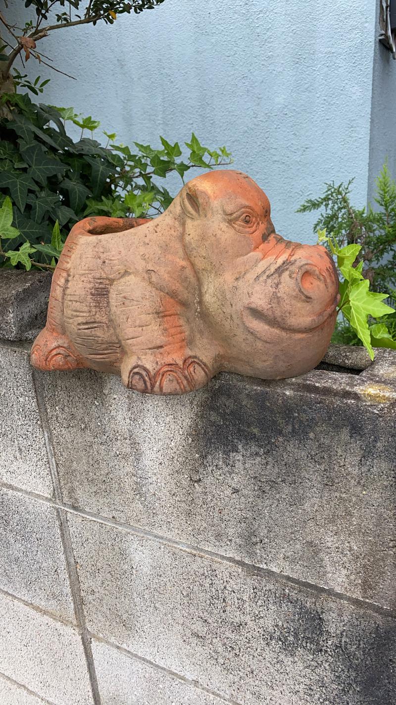 ギンさんの野天風呂 湯の郷のサ活写真