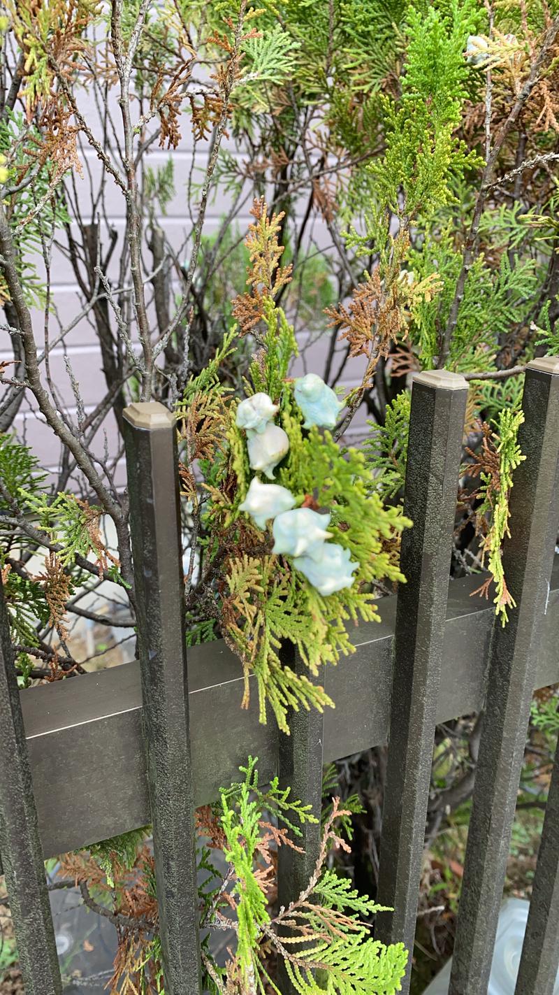 ギンさんの野天風呂 湯の郷のサ活写真