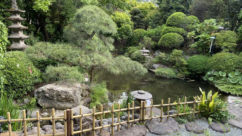 熱波太郎さんの見沼天然温泉 小春日和のサ活写真