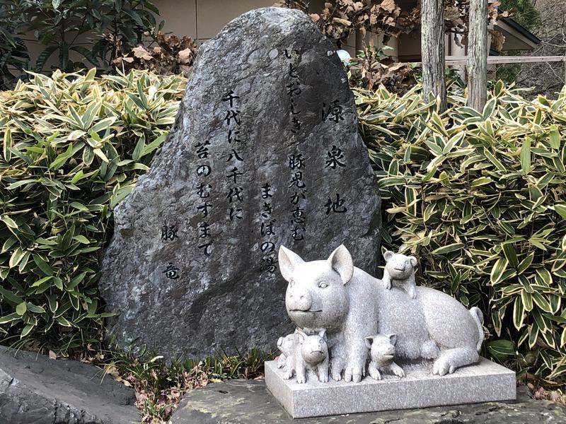 つむぐさんの天然温泉 花鳥風月のサ活写真