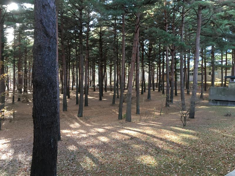 もりたんさんのふれあい交流センター大芝の湯のサ活写真