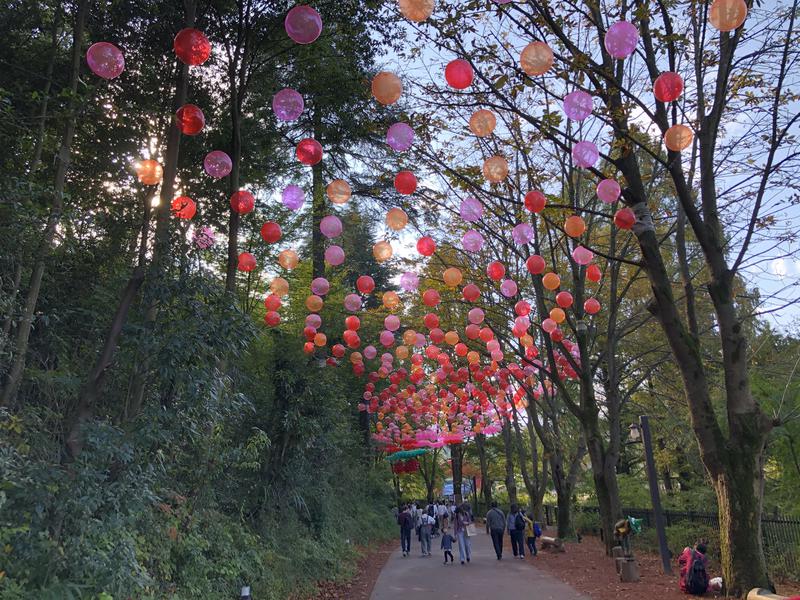 つむぐさんの宮沢湖温泉 喜楽里別邸のサ活写真