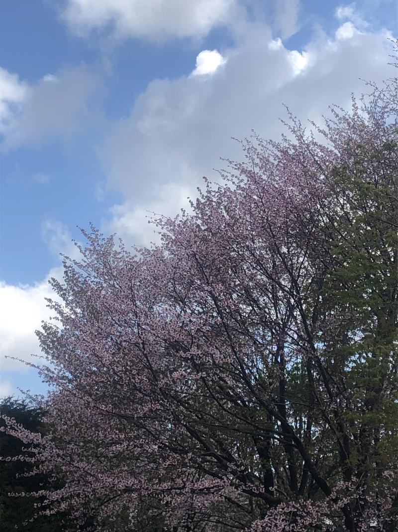 サライさんの湯処花ゆづきのサ活写真