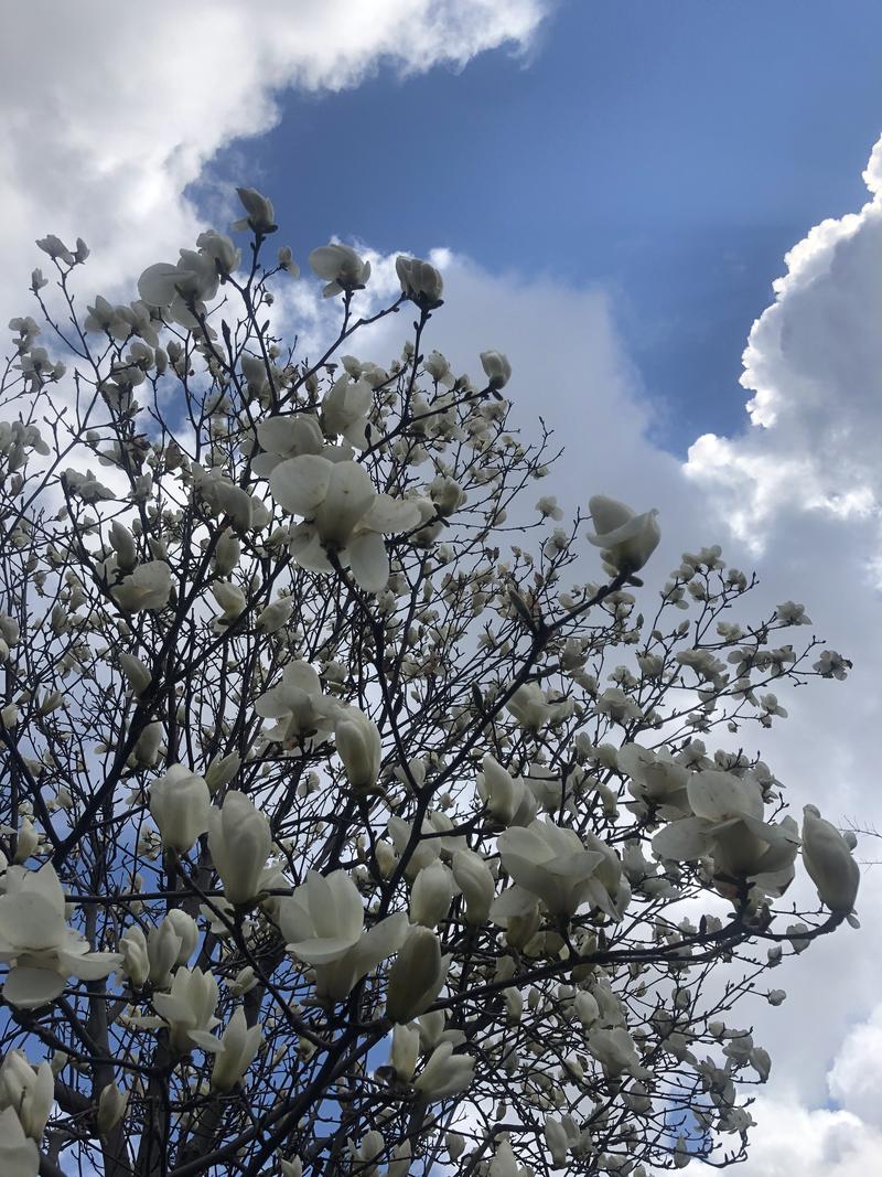 サライさんの湯処花ゆづきのサ活写真