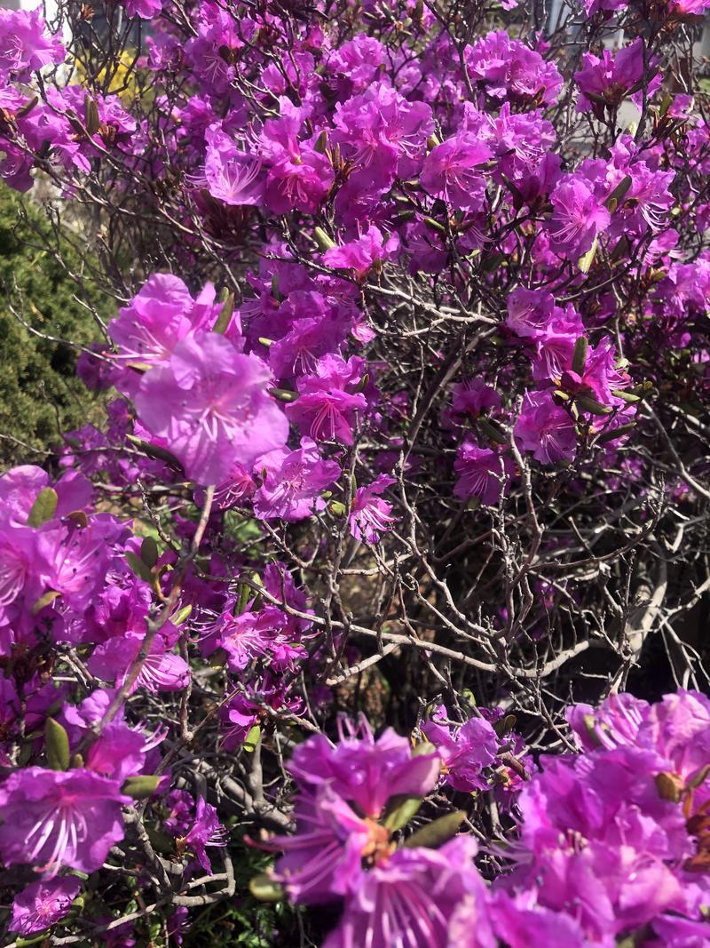 サライさんの湯処花ゆづきのサ活写真