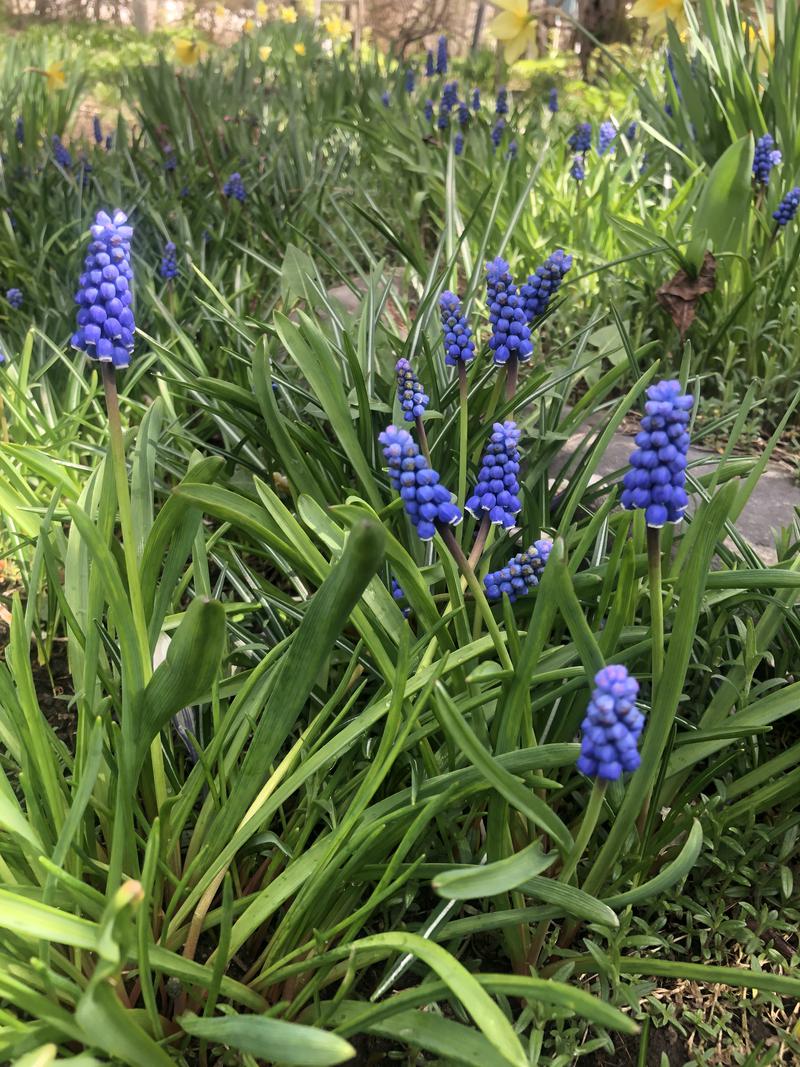 サライさんの湯処花ゆづきのサ活写真